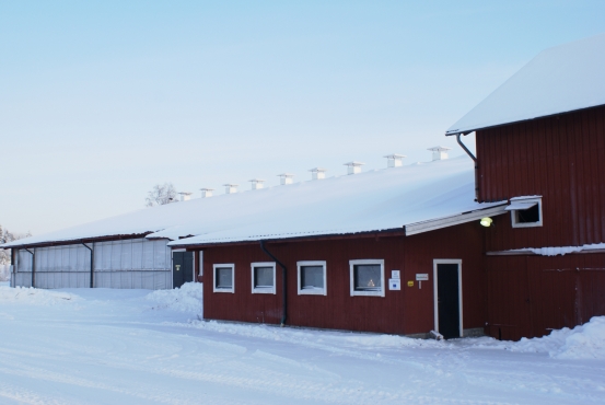 Ladugård m adventsljusstake mjölkrum dec 2010