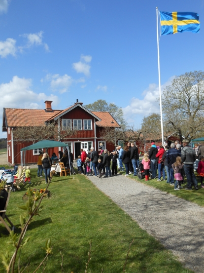 Öppet hus kosläpp 2012 huset m servering o flagga