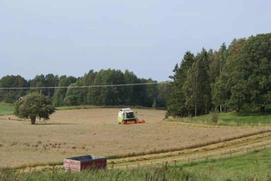 Tröskning 10 sep 2012 Äspetorp