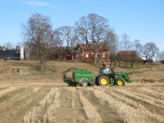 Alf pressar halm 28 april nedanför gården