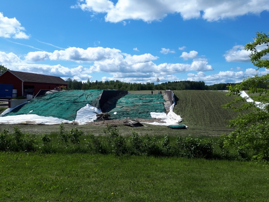 första vallskörd plansilos 2019 täckning