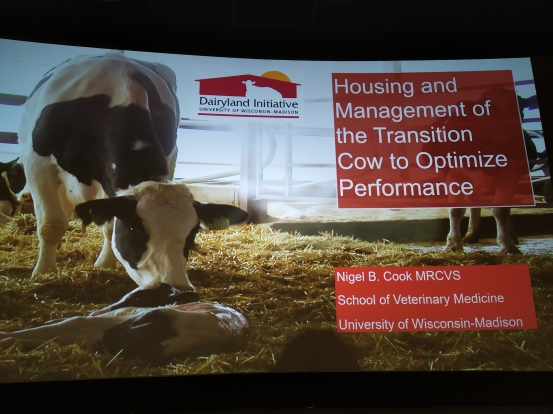 Transition cow presentation seminarium Finland