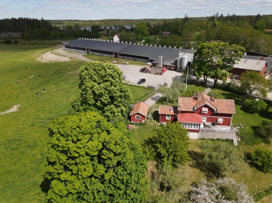 Flygbild Tobias från söder huset i förgrunden