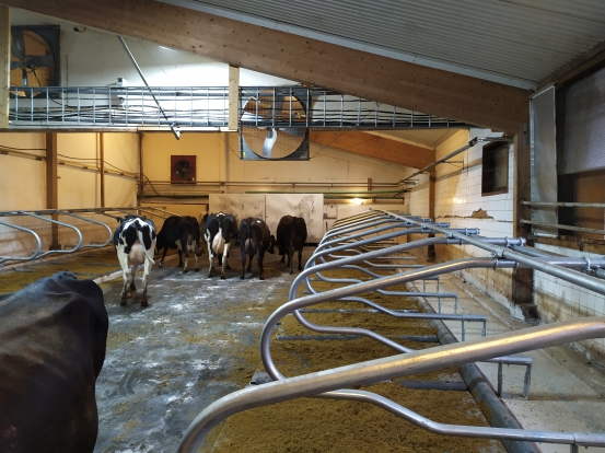 Mjölkgropen färdig med liggbås sep 2022