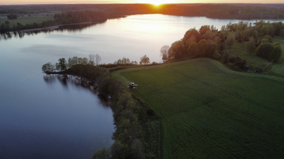 Skördebild maj 2025