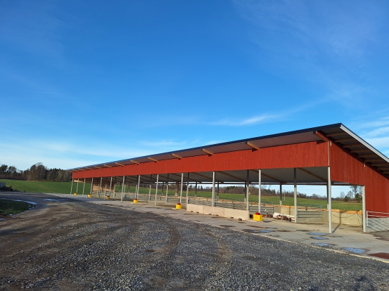 Nytt kalvstall nov 2025