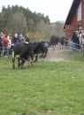 Koslpp 2010