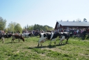 Koslpp 2011 